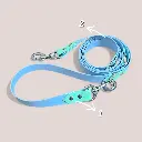 20250306_170052.webp